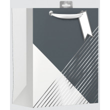 Large Gift Bag Chevrons