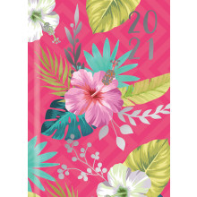 D0402 Pocket WTV Diary 8 Asst Designs