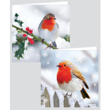 12 Square Photo Robin Cards