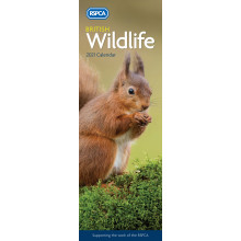 D1103 Slim Calendar RSPCA British W/Life