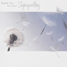 Open Sympathy Thank You Foil Cards 6s