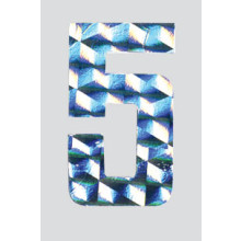 Roman Labels Holographic Numerals No.5