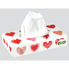 Paloma Tissues Box 100