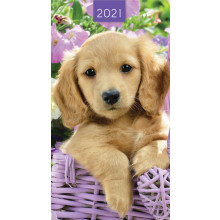 D0505 Slim 2WTV Diary Cats & Dogs