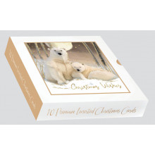 Box 10 Premium Arctic Friends Cards