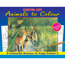 Nature Colouring Book 16 Pages 4 Asst