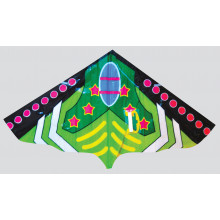 Single String Delta Kite