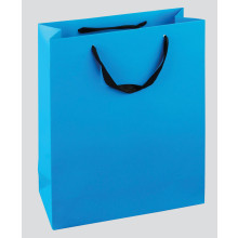 Medium Vivid Gift Bags + Tissue + Tag