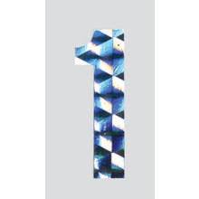 Roman Labels Holographic Numerals No.1