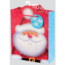 Gift Bag Christmas Santa Medium