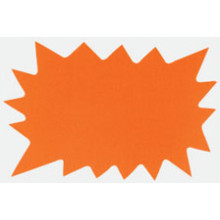 40 Fluorescent Flash 66x105mm