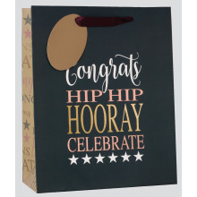 Medium Gift Bag Hip Hooray
