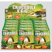 Crocodile Fossil Eggs Assorted