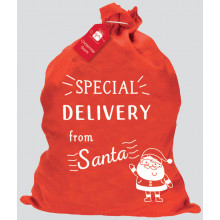 Special Delivery Santa Sack 60x50cm