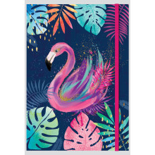 A4 Banded Tropicana Notebook Assorted