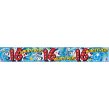 2.5m Party Banner Age 16 Boy