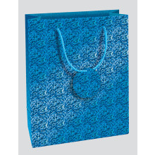 Large Bright Holographic Gift Bags
