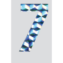 Roman Labels Holographic Numerals No.7