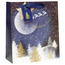 Gift Bag Starry Night Medium