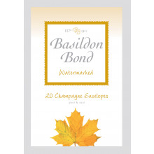 Basildon Bond Duke Champagne Envelopes