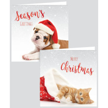12 Square Photo Pets Cards