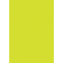 Fluorescent Paper A4 80gsm 15sht