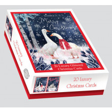 Box 20 Midnight Walk Cards
