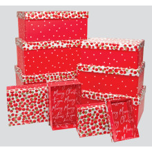 Nest 10 Gift Boxes Merry & Bright