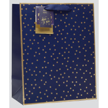 Gift Bag Night Star Medium