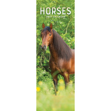 D1101 Slim Calendar Horses