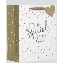 Large Gift Bag Special Day