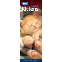 D1104 Slim Calender RSPCA I Love Kittens
