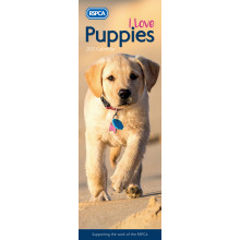 D1105 Slim Calendar RSPCA I Love Puppies