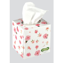 Paloma Tissues Box 60 Assorted