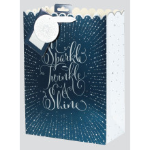 Gift Bag Midnight Celebrate Large