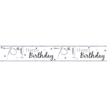 2.5m Party Banner Age 70 Neutral