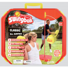 Classic All Surface Swingball In Case