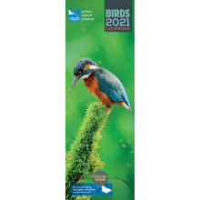 D1102 Slim Calendar RSPB Birds
