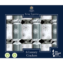 6x20cm Luxury Silver Mini Crackers