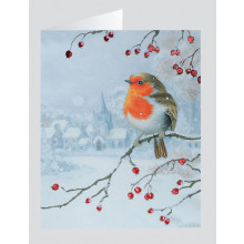 Box 20 Robin Cards