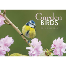 D1010 A4 Calendar Garden Birds
