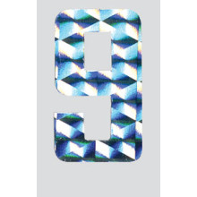 Roman Labels Holographic Numerals No.9