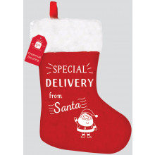 Christmas Special Delivery Stocking