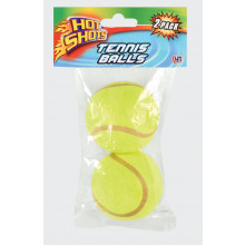 T4205 Tennis Balls 2 Pack