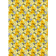 EA2019 Gift Wrap Floral Trad